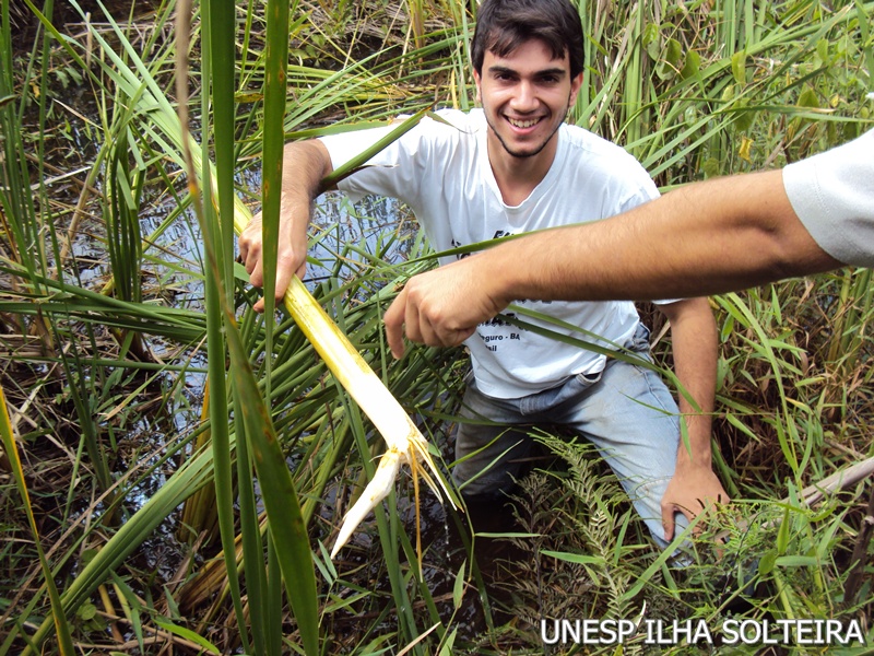 21_marco_2011 (31).JPG